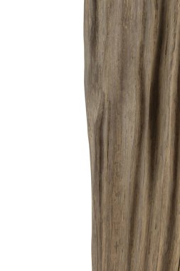 Beyaz arka planda meşe köklerinden ürün.