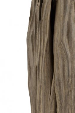 Beyaz arka planda meşe köklerinden ürün.