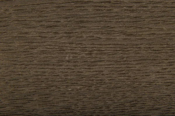 Okleina z starego dębu, tekstura drewna — Zdjęcie stockowe