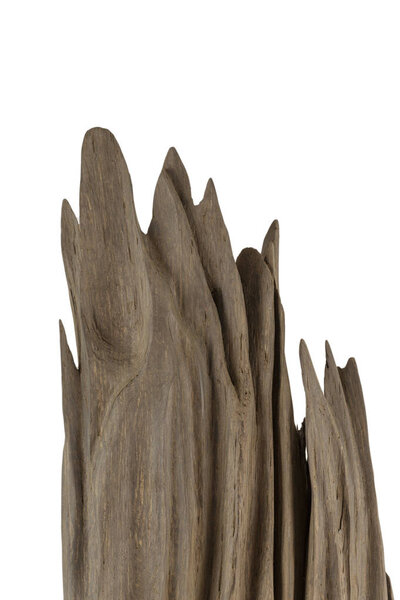 Product from the roots of oak in white background.