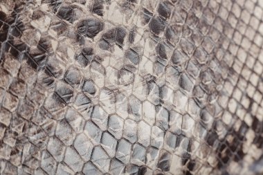 Güzel doğal deri doku, yeni deri ürün.