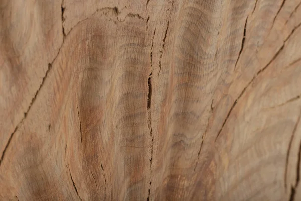 Belle texture de vieux chêne taché sculpté . — Photo