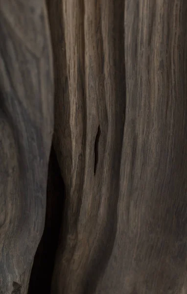 Tekstur indah dari kayu ek berukir tua . — Stok Foto