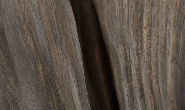 Nádherná textura starého vyřezávaného dubu. — Stock fotografie