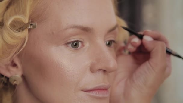 Maquillaje profesional artista aplica maquillaje foto del modelo a la mujer . — Vídeo de stock