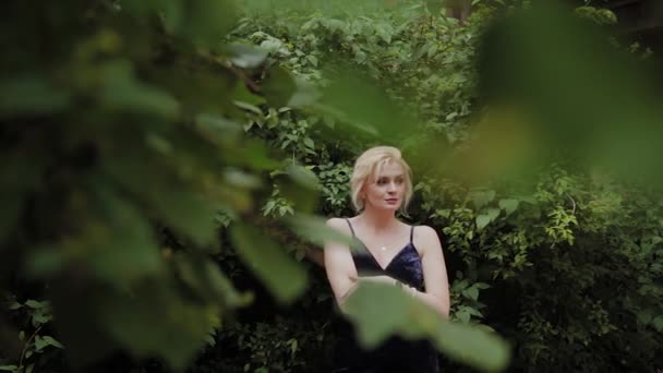 美丽的女人照片模型站在绿色的灌木丛在夏天. — 图库视频影像