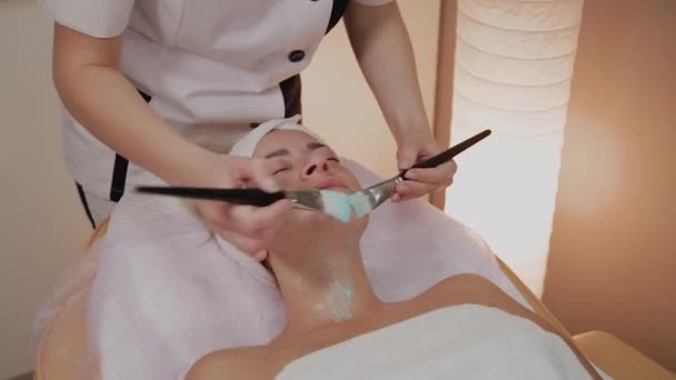 Esteticista profesional aplicando máscara con cepillos en la cara de la mujer . — Vídeo de stock