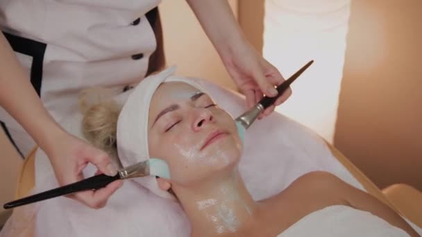 Esthéticienne professionnelle appliquant un masque avec brosses sur le visage de la femme . — Video