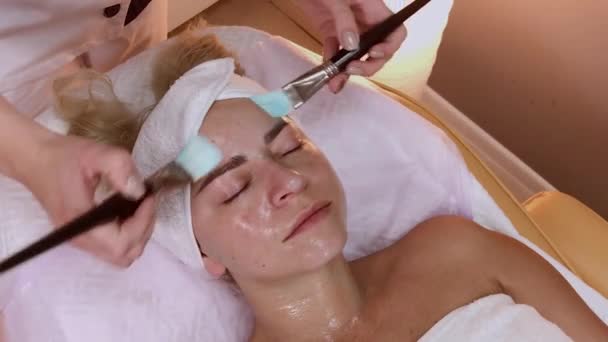 プロの美容師は、女性の顔にブラシでマスクを適用します. — ストック動画