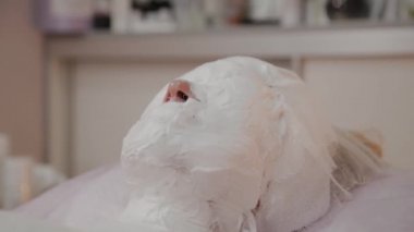 Kozmetik prosedür. Güzellik salonunda yüzünde maske olan bir kadın. Yüz maskesi uygulaması.