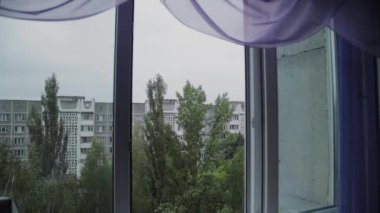 Ağaçların ve yüksek katlı binaların güzel pencere görünümü.