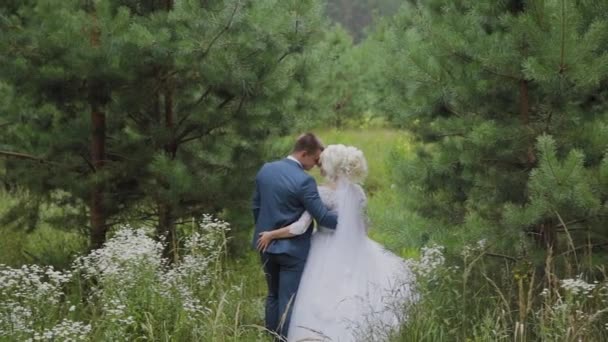 Noiva muito bonita e noivo de mãos dadas e abraço na floresta . — Vídeo de Stock