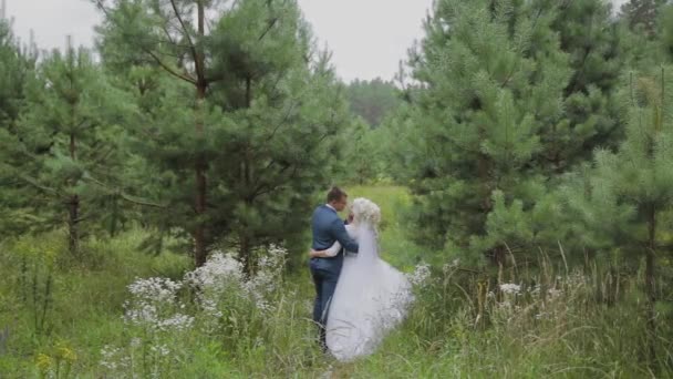 Zeer mooie bruid en bruidegom houden handen en knuffel in het bos. — Stockvideo