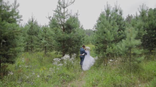 Très belle mariée et marié se tiennent la main et se câlinent dans la forêt . — Video