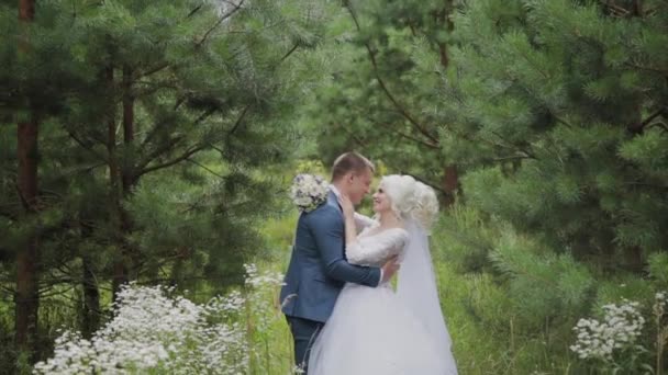 Muy hermosa novia y el novio se toman de la mano y se abrazan en el bosque . — Vídeo de stock