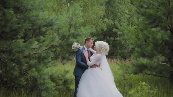 Muy hermosa novia y el novio se toman de la mano y se abrazan en el bosque . — Vídeos de Stock