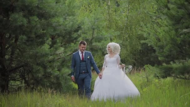 非常漂亮的新娘和新郎在森林里手牵手拥抱. — 图库视频影像