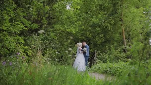 Όμορφη νύφη και γαμπρός σε μια παλιά σιδερένια γέφυρα στο δάσος. Ο γαμπρός χαϊδεύει την αγαπημένη του. — Αρχείο Βίντεο