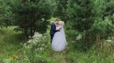 Çok güzel gelin ve damat ormanda el ele tutuşup kucaklaşın.