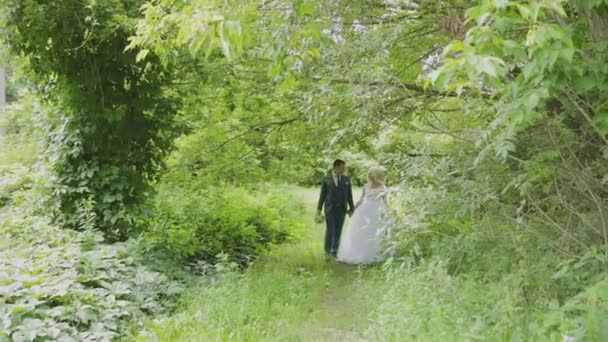 Sehr schöne Braut und Bräutigam halten Händchen und umarmen sich im Wald. — Stockvideo