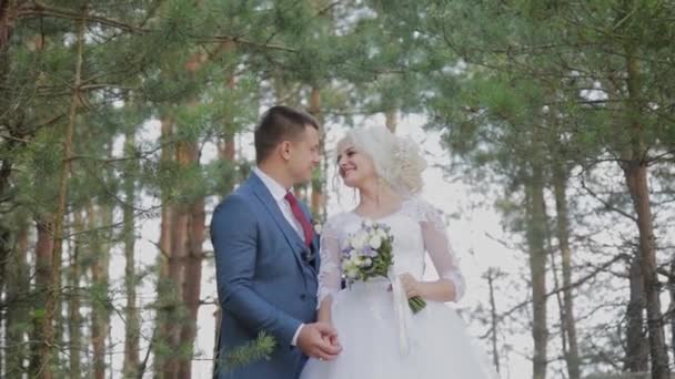 Very beautiful bride and groom hold hands and hug in the forest. — Stock Video