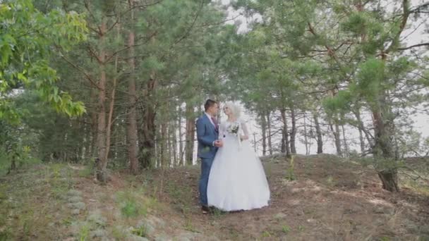 Muy hermosa novia y el novio se toman de la mano y se abrazan en el bosque . — Vídeos de Stock