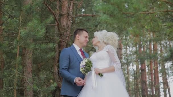 Nagyon szép menyasszony és a vőlegény kezét és ölelés az erdőben. — Stock videók