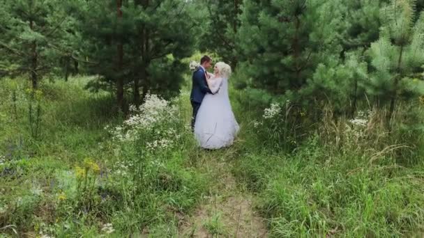 Muy hermosa novia y el novio se toman de la mano y se abrazan en el bosque . — Vídeo de stock
