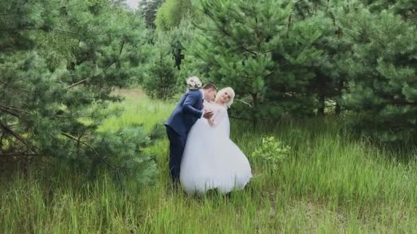 Very beautiful bride and groom hold hands and hug in the forest. — Stock Video