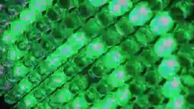 Yanıp sönen çok renkli açık yayan diyotlar. Close.