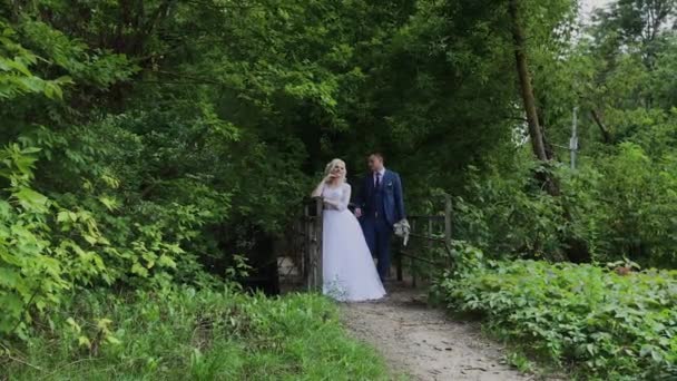 Beautiful bride and groom on an old iron bridge in the forest. Groom caresses his beloved. — Stock Video