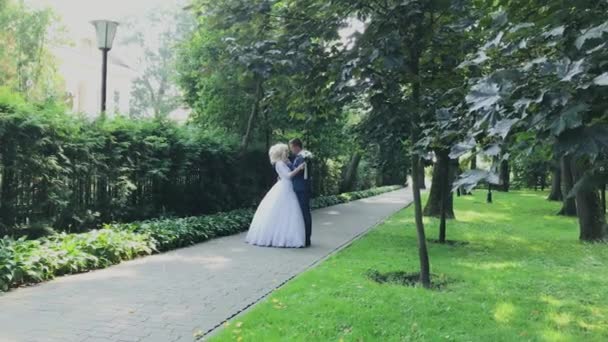 Happy newlyweds walk in the park holding hand, hug kiss. — Stock Video