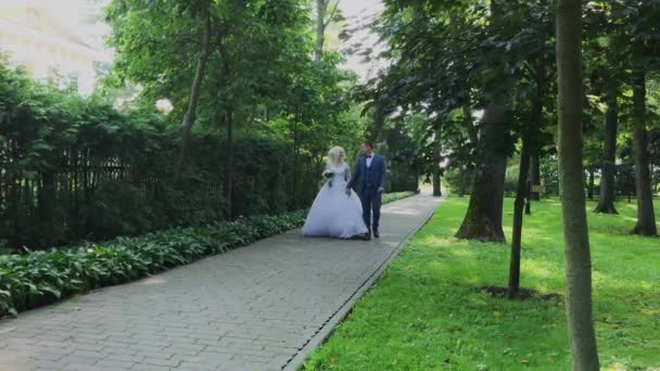Šťastné novomanželé chodí v parku, drží se za ruce, obejmout polibek. — Stock video