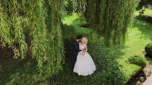 Beijo de abraço de recém-casados feliz no parque . — Vídeo de Stock