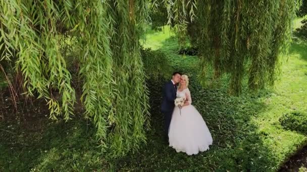 Happy nowożeńcy przytulić pocałunek w parku. — Wideo stockowe