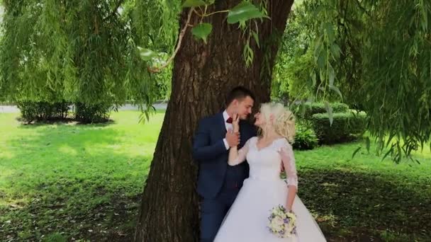 Glad nygifta kram kyss i parken. — Stockvideo