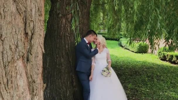 Feliz abrazo de recién casados en el parque . — Vídeo de stock