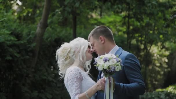 Feliz recém-casados caminham no parque de mãos dadas, abraço beijo . — Vídeo de Stock