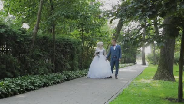 Feliz recién casados caminan en el parque tomados de la mano, abrazos beso . — Vídeos de Stock