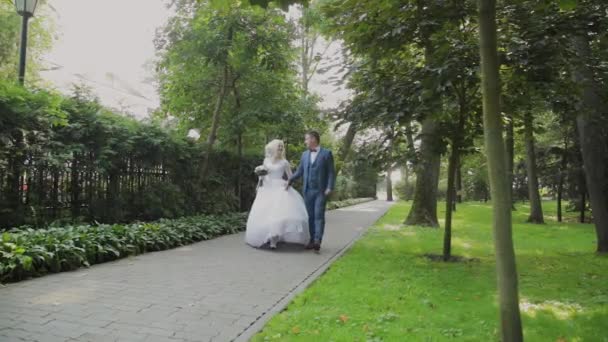 Gli sposi felici camminano nel parco tenendosi per mano, abbracciandosi bacio . — Video Stock