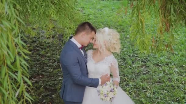 Happy newlyweds hug kiss in park. — Stock Video