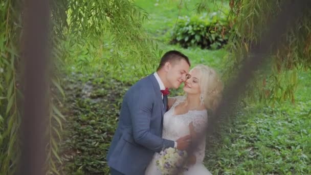 Feliz abrazo de recién casados en el parque . — Vídeos de Stock