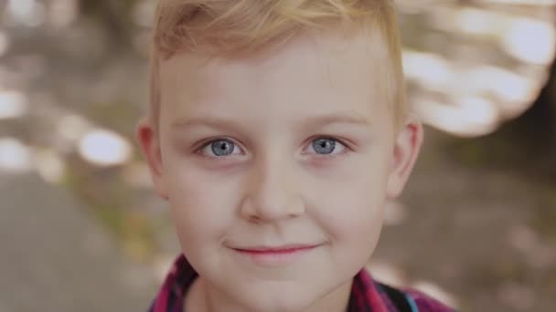 Hermoso retrato de un niño pequeño en el parque . — Vídeo de stock