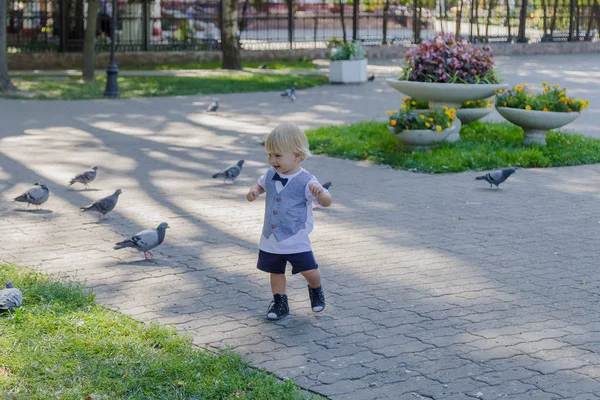 Menino cercado por pombos no parque . — Fotografia de Stock