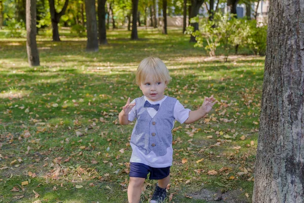 Porträt eines glücklichen kleinen Jungen auf einem grünen Rasen in einem Park. — Stockfoto