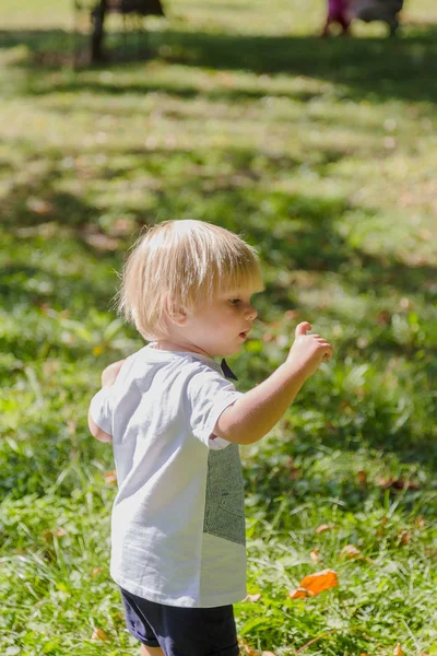 Portrait of a happy little boy on a green lawn in a park. — Stock Photo, Image