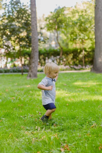 Happy little boy on a green lawn in a park. — Stock Photo, Image