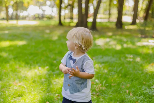 Boldog kisfiú a zöld gyepen a parkban. — Stock Fotó