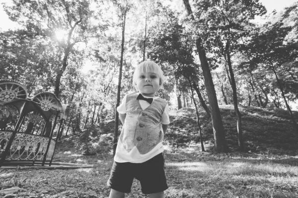 Niño feliz en un césped verde en un parque . —  Fotos de Stock