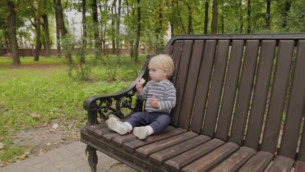 Niño comiendo galletas en un banco en un parque . — Vídeos de Stock